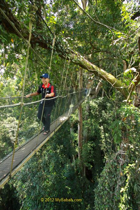 kid have fun on Canopy Walkway