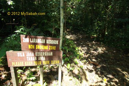 start of trail to Canopy Walkway