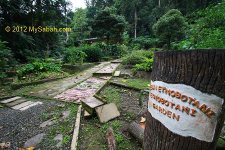 Ethnobotanical Garden of Poring