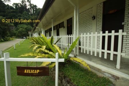 Kelicap Hostel