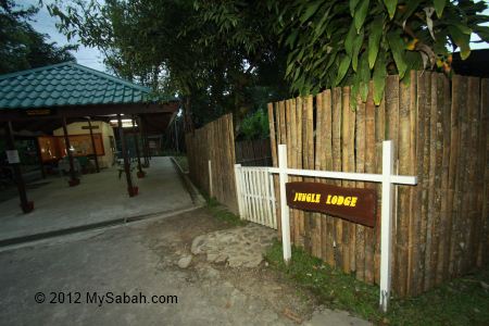 Jungle Lodge