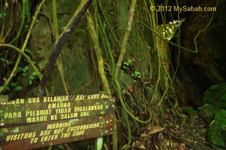 signage of Bat Cave