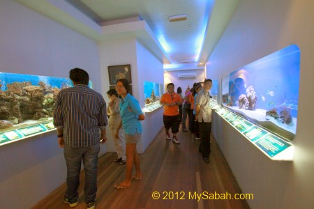 Aquarium in MERC display room
