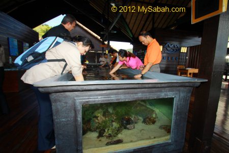 touch tank of Marine Ecology Research Center (MERC)