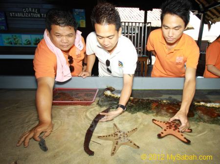 touch tanks