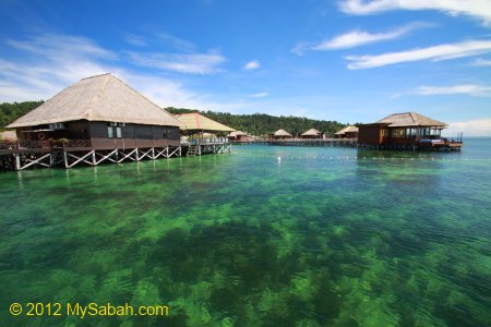 sea at Gayana Eco Resort