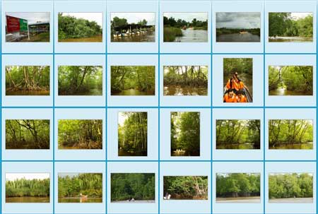 Photo gallery of Bongawan river cruise