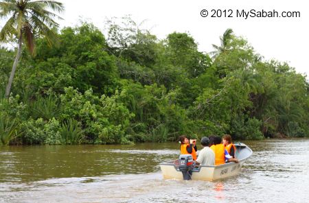 river cruise on Bongawan River