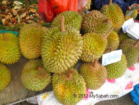 durian of Sabah
