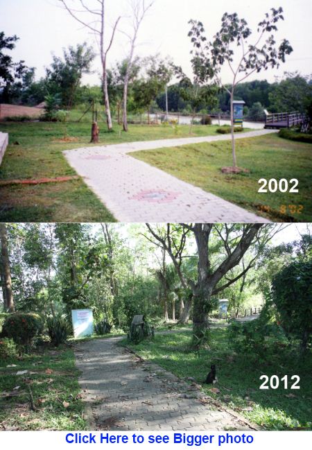 entrance of KK wetlands boardwalk