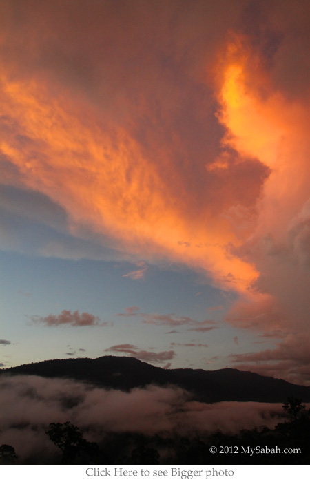 sunset view of Maliau Basin