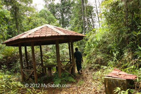 shelter near Tawai Waterfall