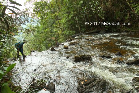 top of Tawai Waterfall