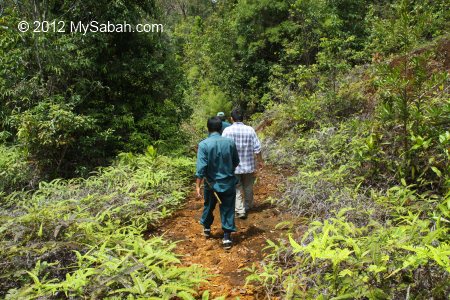 walking to Tawai Waterfall