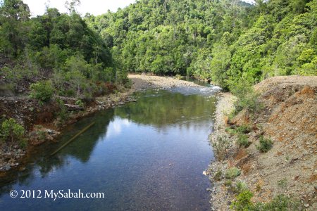 Meliau River (Sungai Meliau) near Telupid