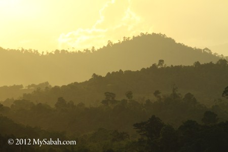 mountains of Telupid