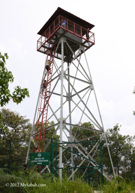 forest fire observation tower on Microwave Hill