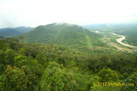 view of Telupid from the tower