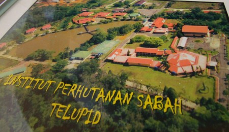 layout of IPS (Institut Perhutanan Sabah)