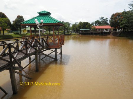 the lake in IPS (Institut Perhutanan Sabah)