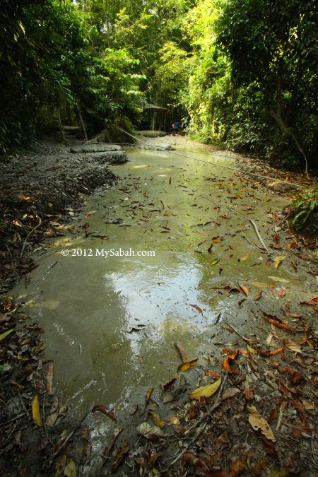 mud volcano pools of Pulau Tiga, Survivor Island