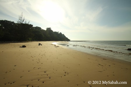 Pagong-Pagong Beach of Pulau Tiga