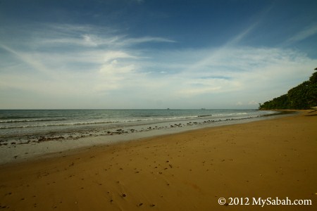 Pagong-Pagong Beach of Survivor Island