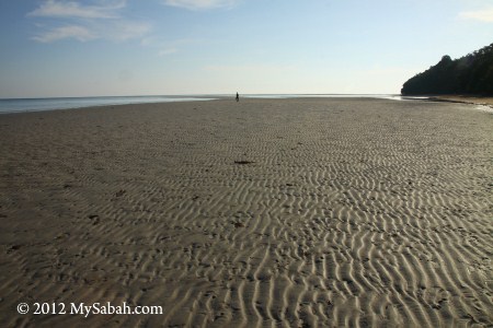 Larai-Larai Beach of Survivor Island