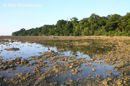 Larai-Larai Beach of Pulau Tiga