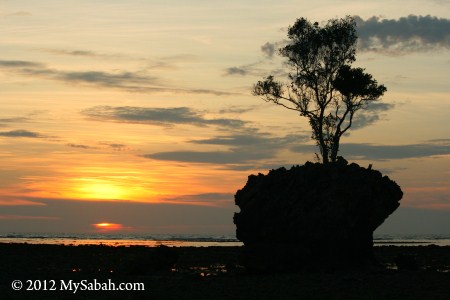 Bird Rock (Batu Burung) of Pulau Tiga Island