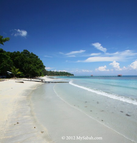 beach of Pulau Tiga Island
