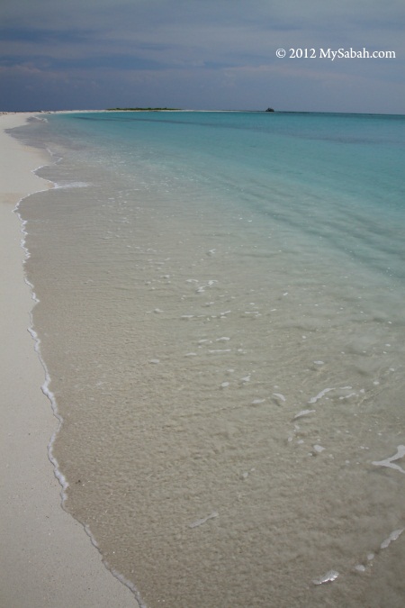 beach of Sands Spit Island