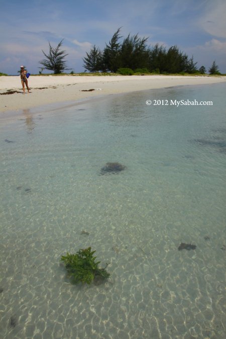 Sands Spit Island of Pulau Tiga Park