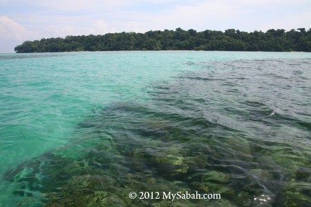 Tiga Trail of Pulau Tiga, Survivor Island