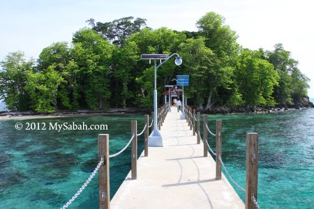Snake Island of Pulau Tiga Park