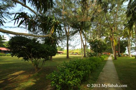 garden of Pulau Tiga Island