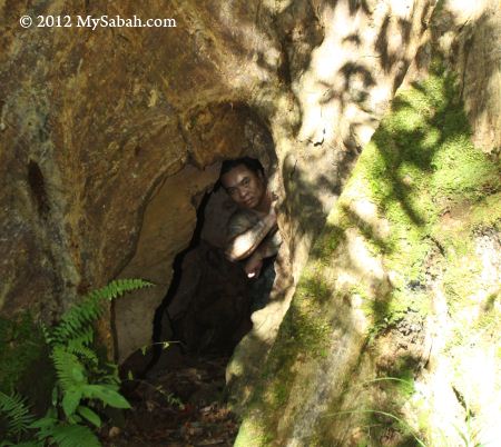 man in tree hole