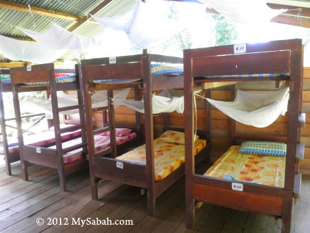 bunk beds in Tampoi Research Station of Imbak Canyon Conservation Area