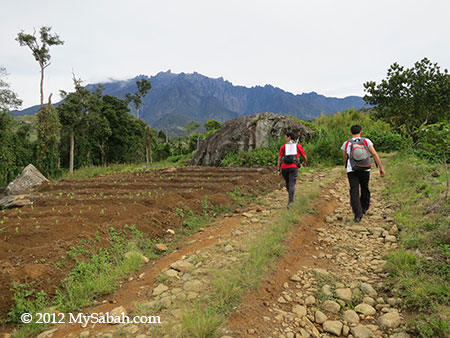 trail of TMBT Ultra Trail Run