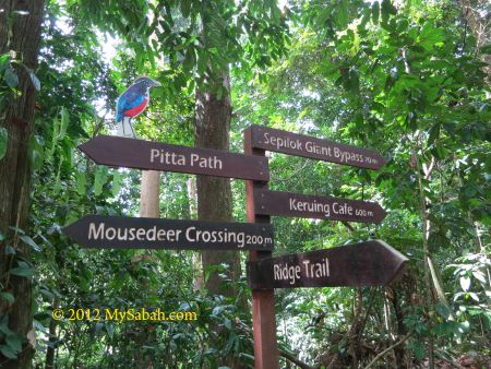 signage of RDC jungle trail