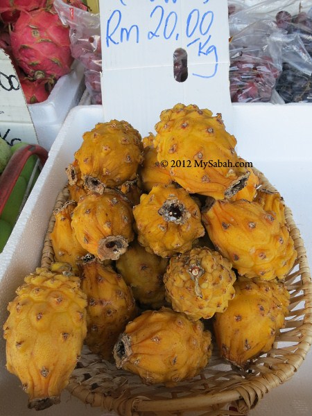 yellow dragon fruit