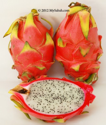 pitahaya (white flesh)