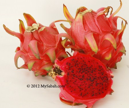 pitaya (red flesh)