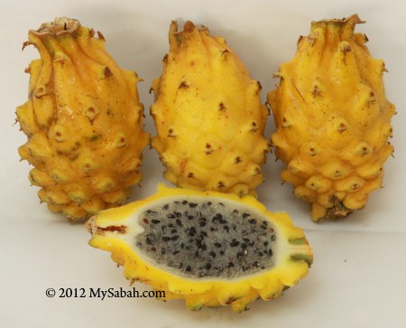 flesh of yellow dragonfruit