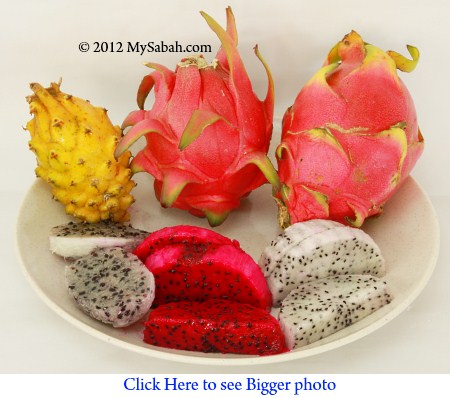 flesh of 3 dragonfruit species