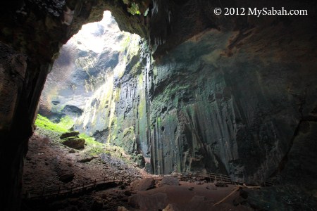 Gomantong Cave of Sandakan