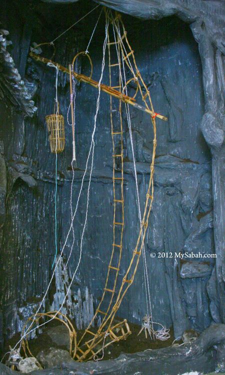 scale down model of harvesting tool of edible bird nest