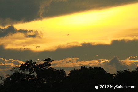 dusk at Kinabatangan