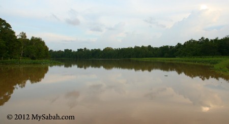 Ox-Bow Lake