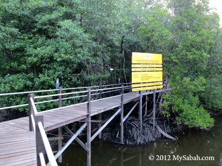 boardwalk to the Sepilok mangrove